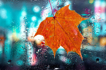 Autumn background. Drops of rain and maple leaf on the wet window glass and autumn colors of red orange and yellow. Blurred abstract texture background.