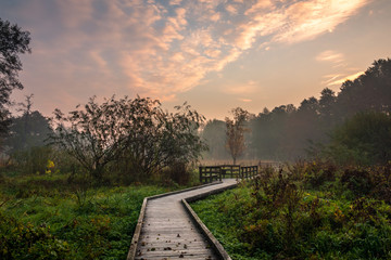 Sunrise over the footbridge in park in Konstancin Jeziorna, Mazowieckie, Poland - 229955414