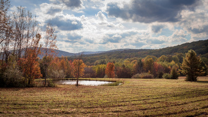 autumn landscape with trees and blue sky