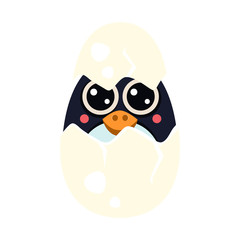 Penguin Baby in an Egg. Vector Illustration