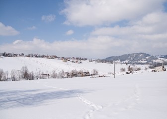 winter landscape