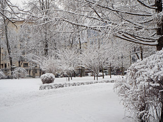 winter park
