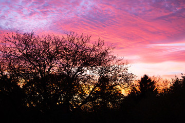Obraz na płótnie Canvas Pink sunset