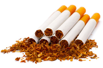 closeup of cigarettes on tobacco crumbs isolated on white background