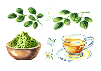 Herbal Moringa set. Watercolor hand drawn illustration, isolated on white background