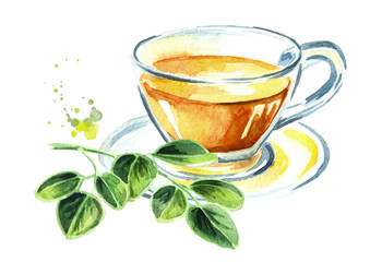 Herbal Moringa tea. Superfood. Watercolor hand drawn illustration  isolated on white background