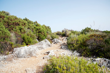 Arduous nature path over the coast, Marina di Camerota, Italy