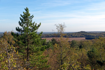 Grands Avaux forest panorama in the French Gâtinais regional nature park