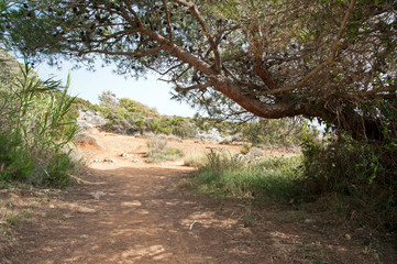 Beaten track over the coast, Marina di Camerota, Italy 
