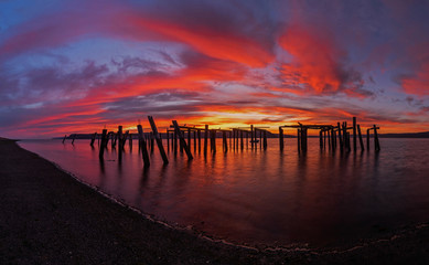 Discovery Bay Olympic Peninsula VT3 4342