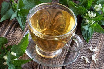 A cup of white dead-nettle tea with blooming white dead-nettles on a table