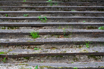 Old stone steps with grass growing between them