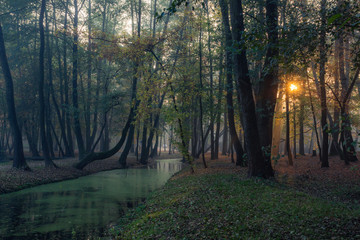 Park on a foggy morning in Konstancin Jeziorna, Mazowieckie, Poland