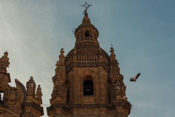 Stork landing on Salamanca's Cathedral