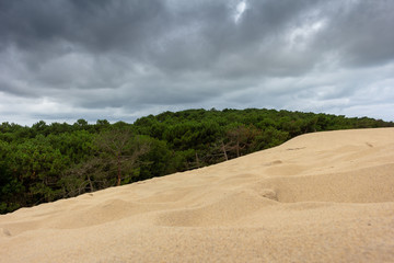 Fototapeta na wymiar Dune du Pyla