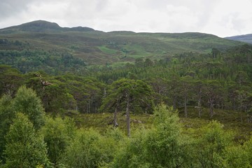 Glen Affric National Nature Reserve, Scotland: Glen Affric, often described as the most beautiful glen in Scotland, contains one of the largest ancient Caledonian pinewoods in the country.