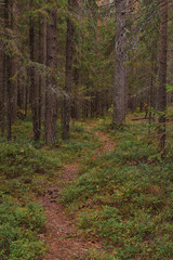 The breath of autumn