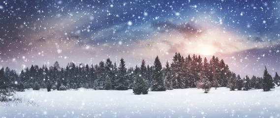 Crédence de cuisine en verre imprimé Arbres Bel arbre dans le paysage d& 39 hiver en fin de soirée dans les chutes de neige