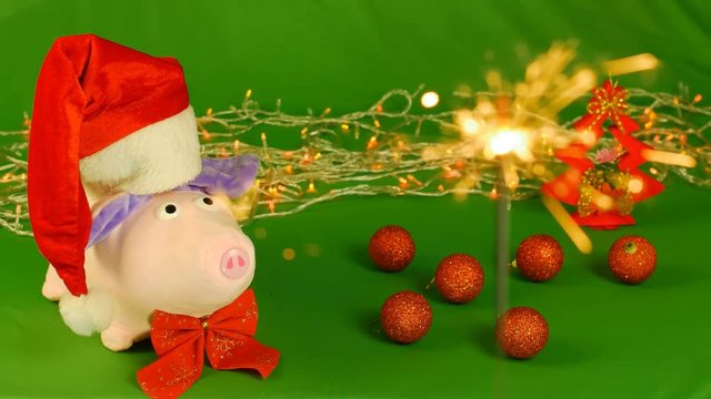 piggy or mumps wearing Santa Claus's hat, New year 2019 and christmas, sparkler on green Chroma key