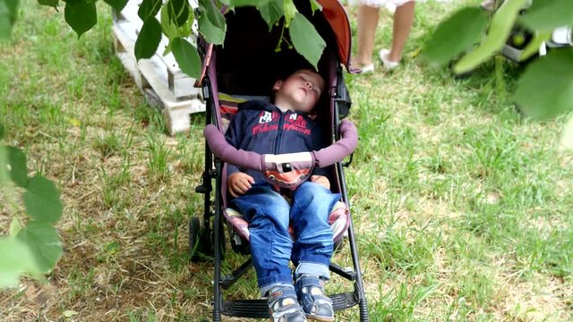 Little child boy sleeping in buggy in a green park
