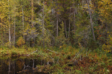 The breath of autumn