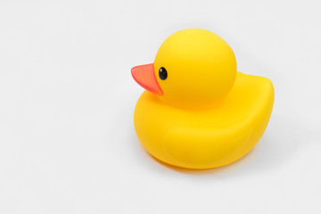 Yellow duck can represented who is an amateur