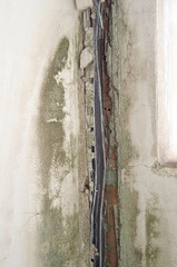 Mold grows well on paper products, plaster, ceiling tiles, wall corner and plaster products.