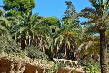 Beautiful stone walls, on top of which palm trees grow.