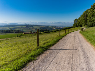 Fototapeta premium Spaziergang