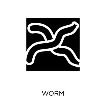 Worm icon. Worm symbol design from Agriculture, Farming and Gardening collection.