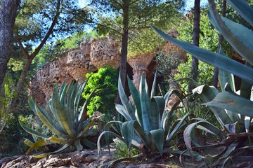 Beautiful stone walls, on top of which palm trees grow.