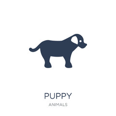 puppy icon. Trendy flat vector puppy icon on white background from animals collection