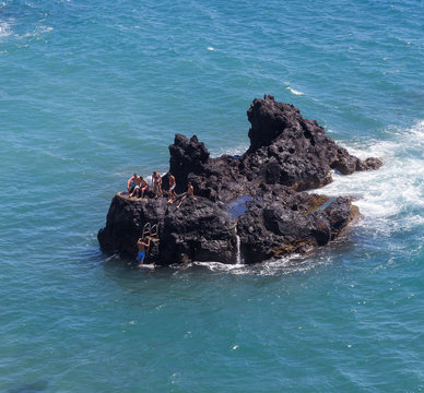 Klippenspringer auf Sao Miguel