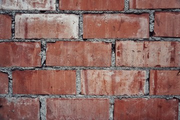 Obraz premium wall texture