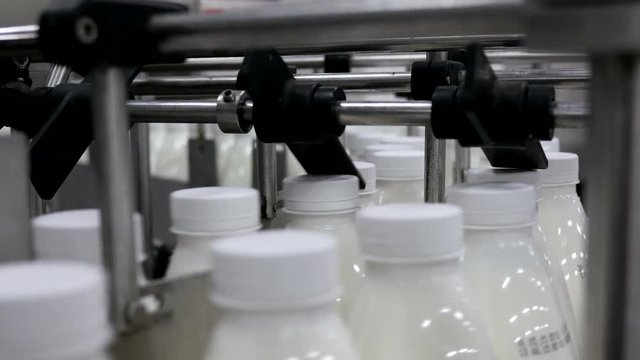 production of milk and dairy products - white bottles on conveyor belt