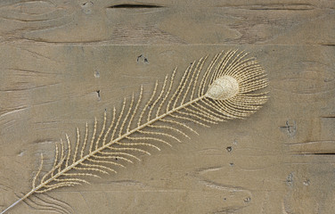 golden decorative feather on golden background