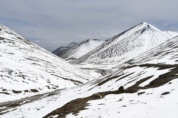 Tibetan plateau in the area of the pass of La Chen La in june