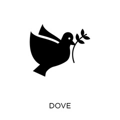 Dove icon. Dove symbol design from Wedding and love collection.