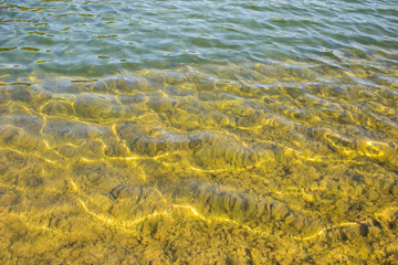 green water background