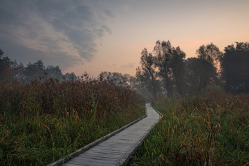 Dawn over the footbridge in park in Konstancin Jeziorna, Mazowieckie, Poland