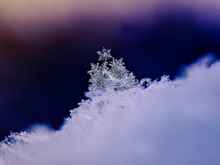 holiday card of shiny beautiful snowflakes lying in a winter Park in the snow and shimmers in the sun