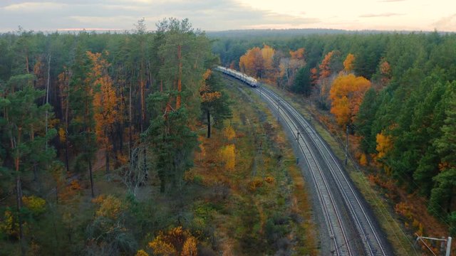 Aerial view of shuttle-train moving on the autumn forest at sunset
