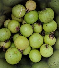 guava