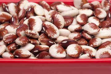 Red fava in a red platter