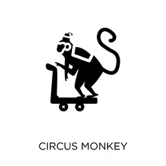 Circus Monkey icon. Circus Monkey symbol design from Circus collection.