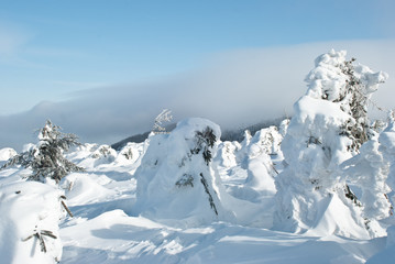 Fototapeta na wymiar zima w górach