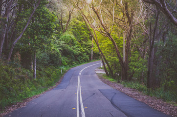Mountain road in Katoomba in Blue Mountains, NSW, Australia.