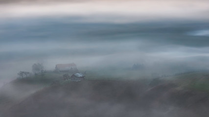 Fototapeta premium Morning
