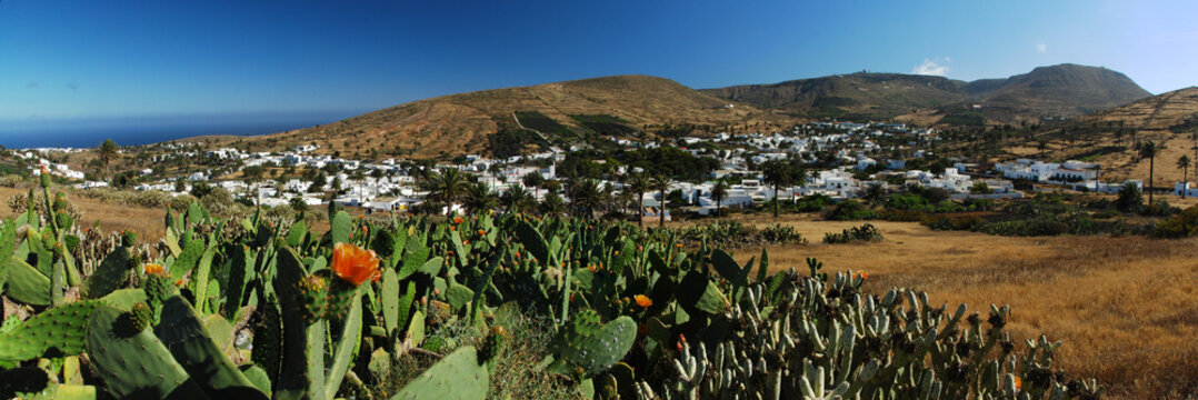 Valle de las mil palmeras, Har&iacute;a, Lanzarote, &icirc;les Canaries