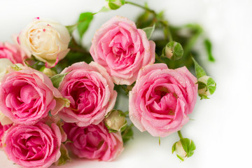  A bouquet of pink roses on a white background.